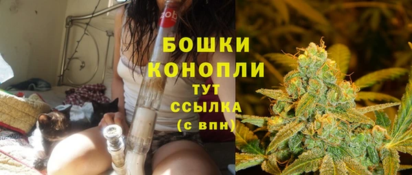 стаф Белая Холуница