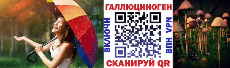 blacksprut сайт  Звенигород  Псилоцибиновые грибы прущие грибы 