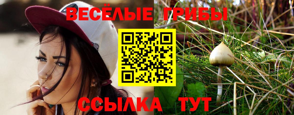 Звенигород  Галлюциногенные грибы Cubensis  Вход с VPN 